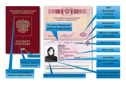 Сходства и отличия «нового» и «старого» паспорта